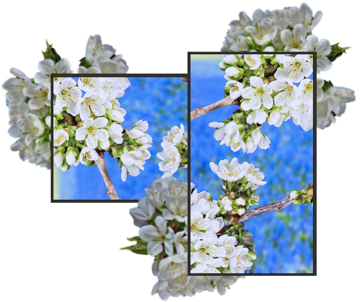 Digital signage monitor im 4K mit SpeechiDisplay