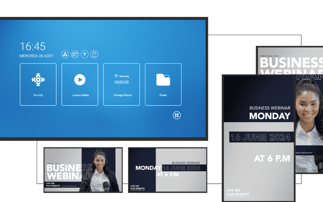 Interactive display for professionals