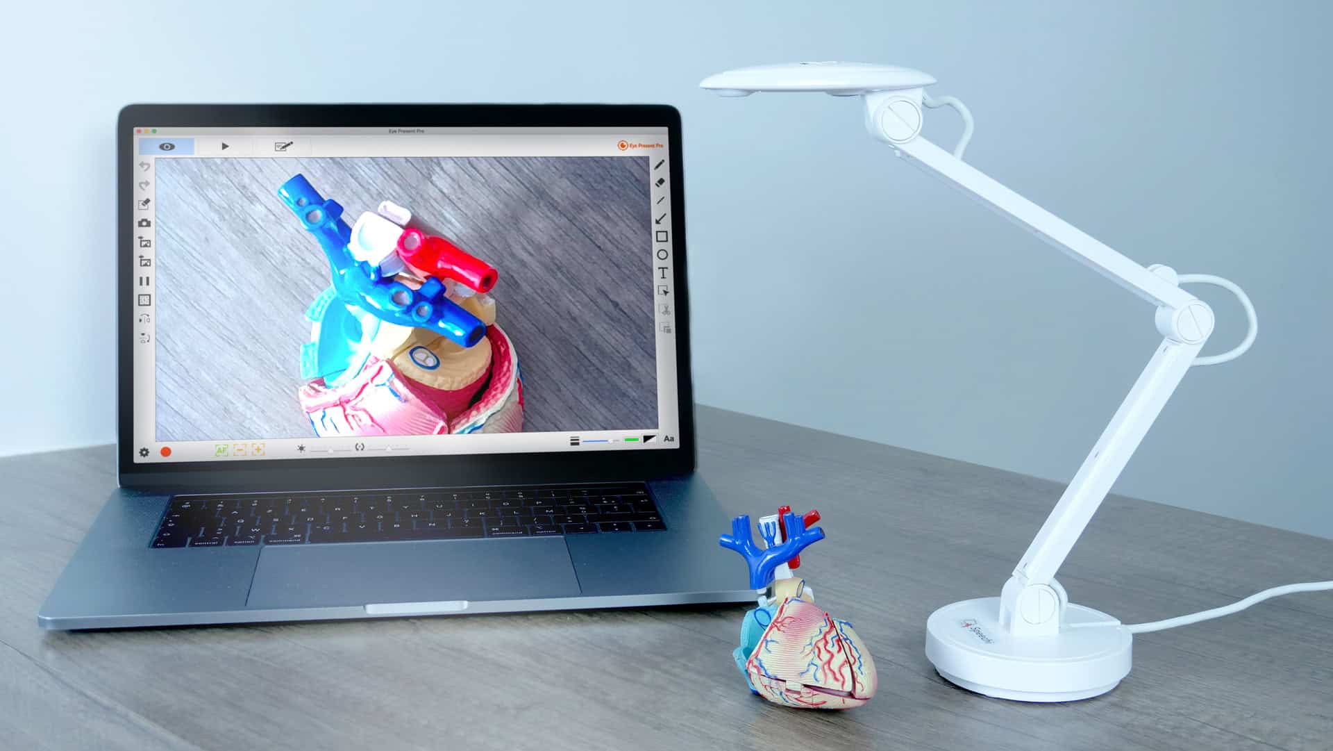 quel-visualiseur-choisir-avec-speechi Quel visualiseur choisir ? Les conseils de Speechi