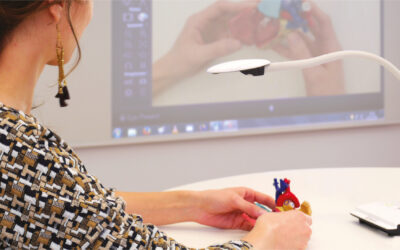 Preis eines Visualizers